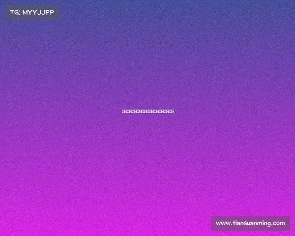 网球赛事参赛选手完整名单及各项比赛排名分析